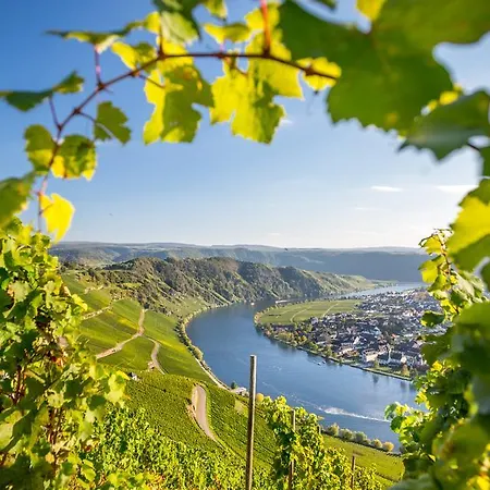 Wohngut Hotel Koblenz (Rhineland-Palatinate)